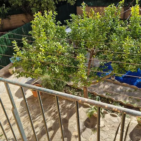 Au Premier Etage Dans Maison De Charme Avec Grand Jardin Au Rdc Lägenhet Banyuls-sur-Mer