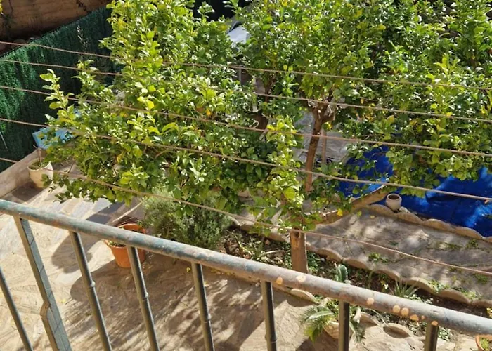 Au Premier Etage Dans Maison De Charme Avec Grand Jardin Au Rdc Apartmán Banyuls-sur-Mer